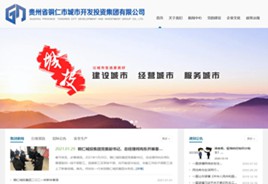 荔波城市开发投资集团有限公司